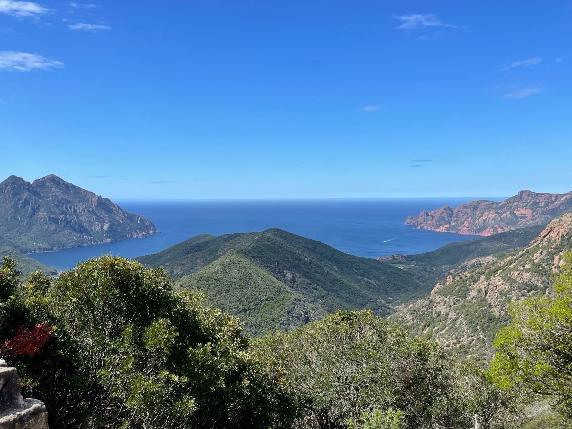 Vivez la Corse