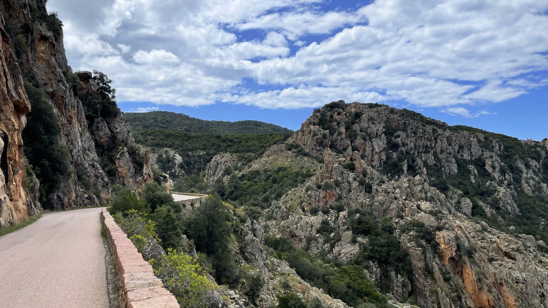 Vivez la Corse-photo
