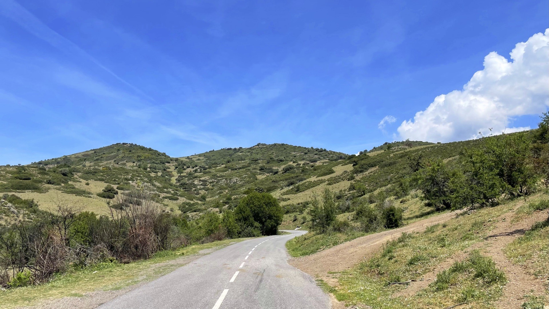 Vivez la Corse-photo