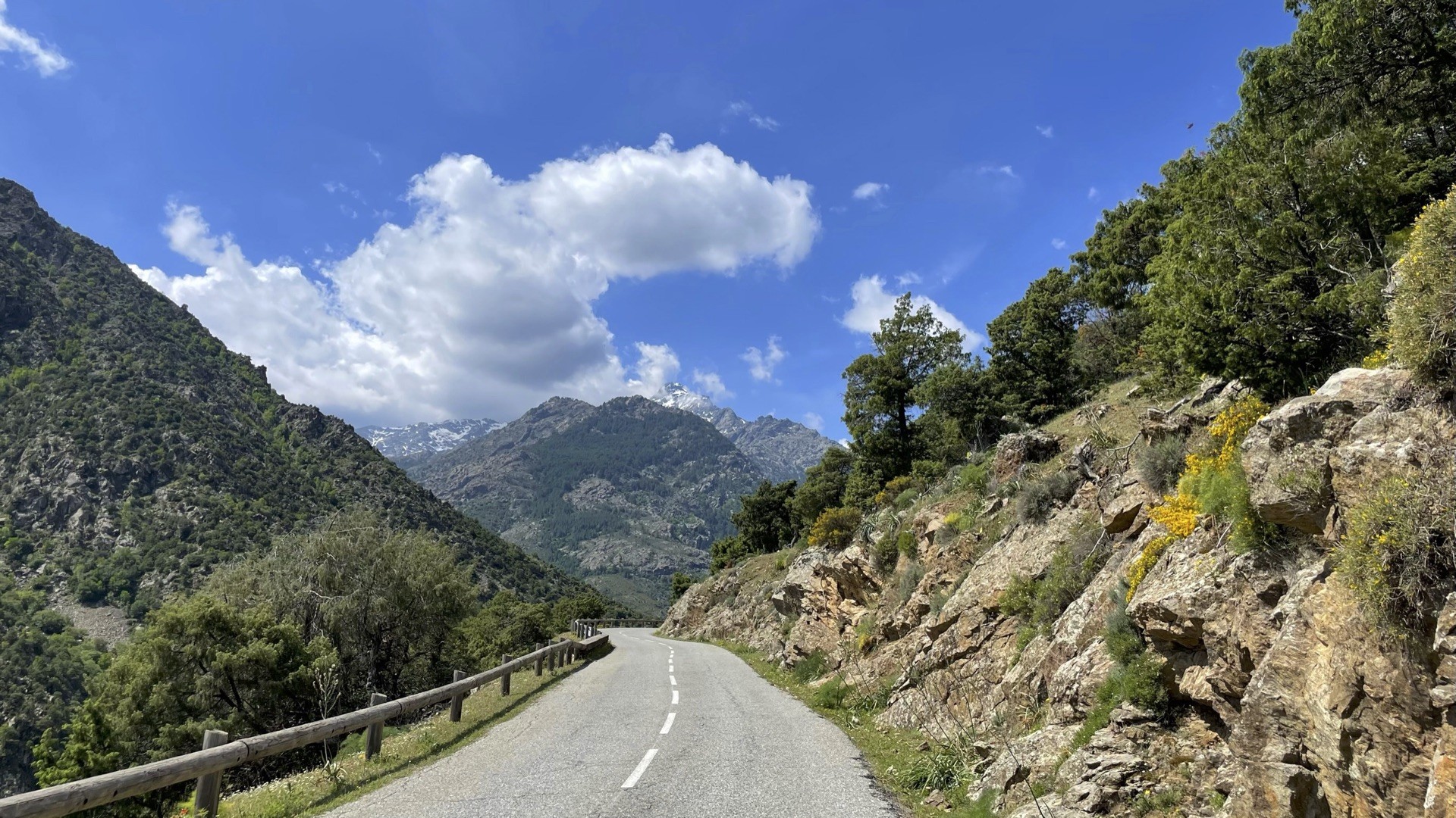 Vivez la Corse-photo