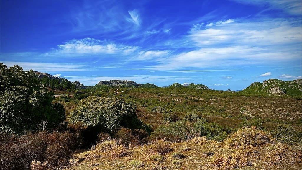 Vivez la Sardaigne-photo