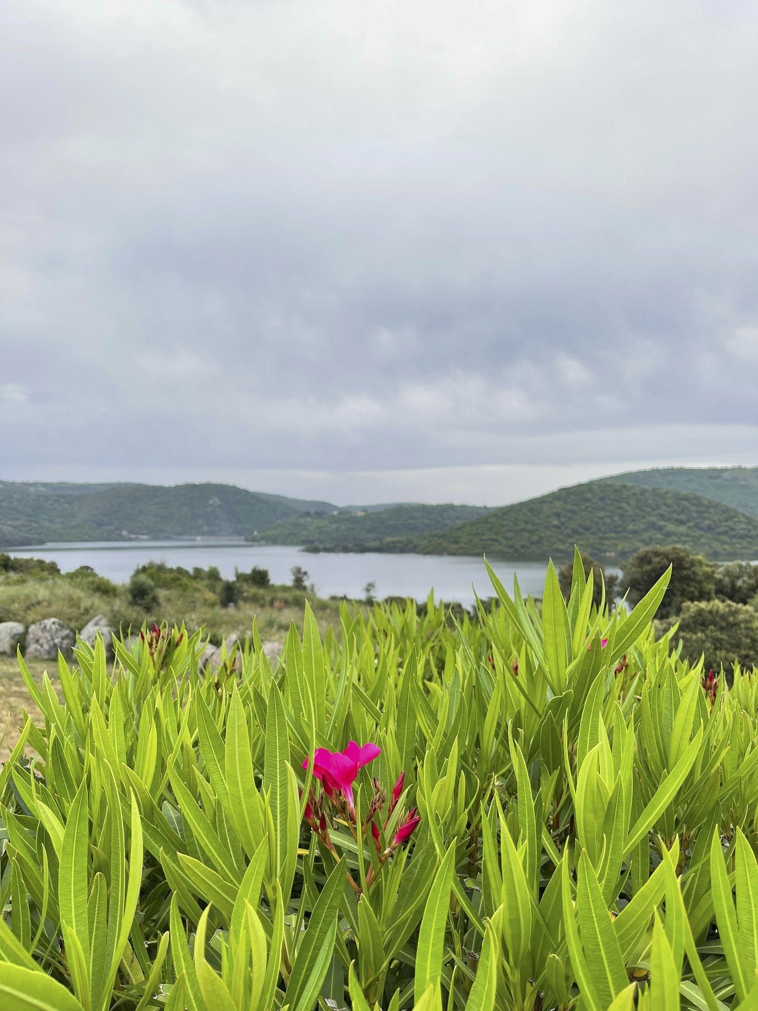 Vivez la Sardaigne-photo