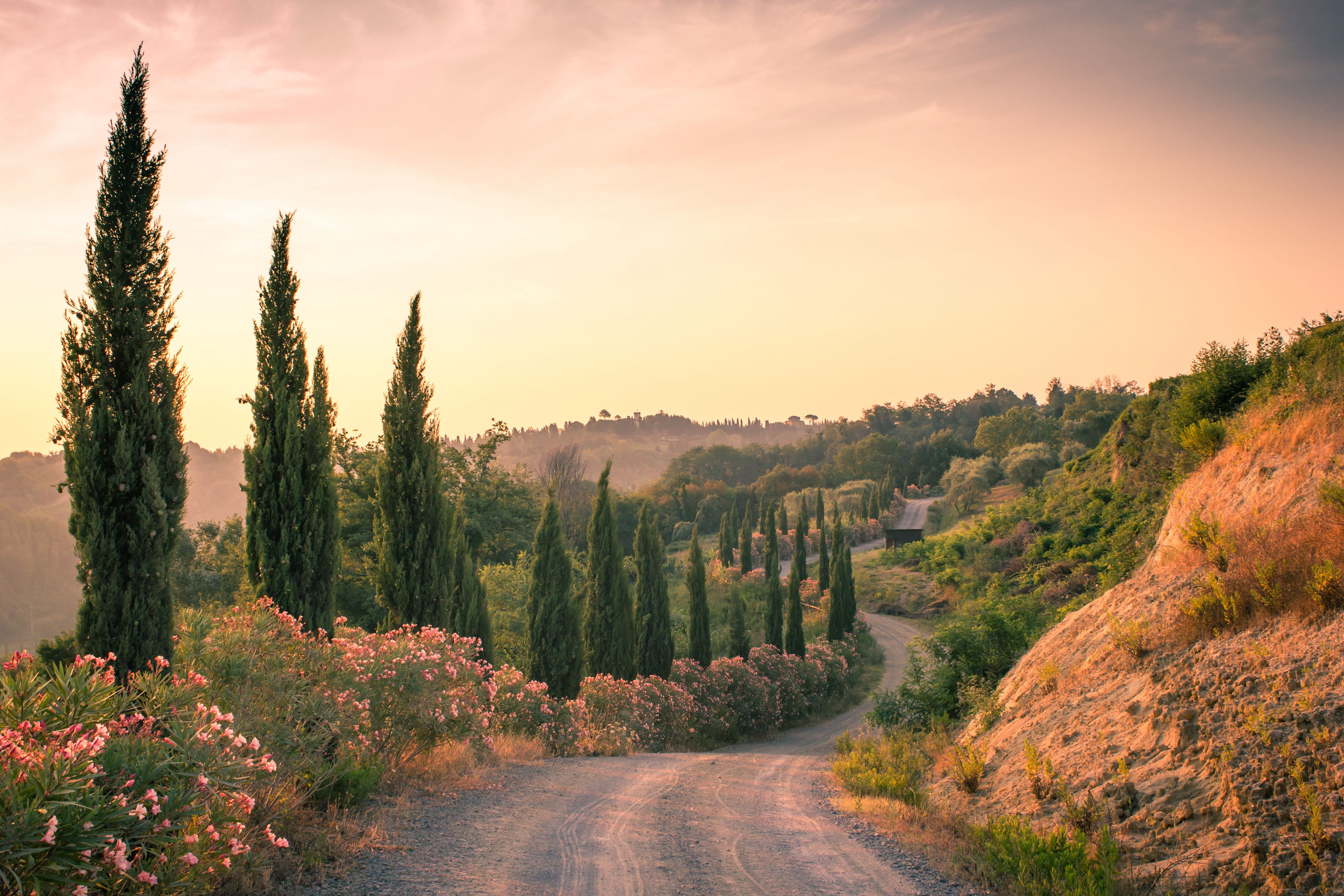 Vivez la Toscane-photo