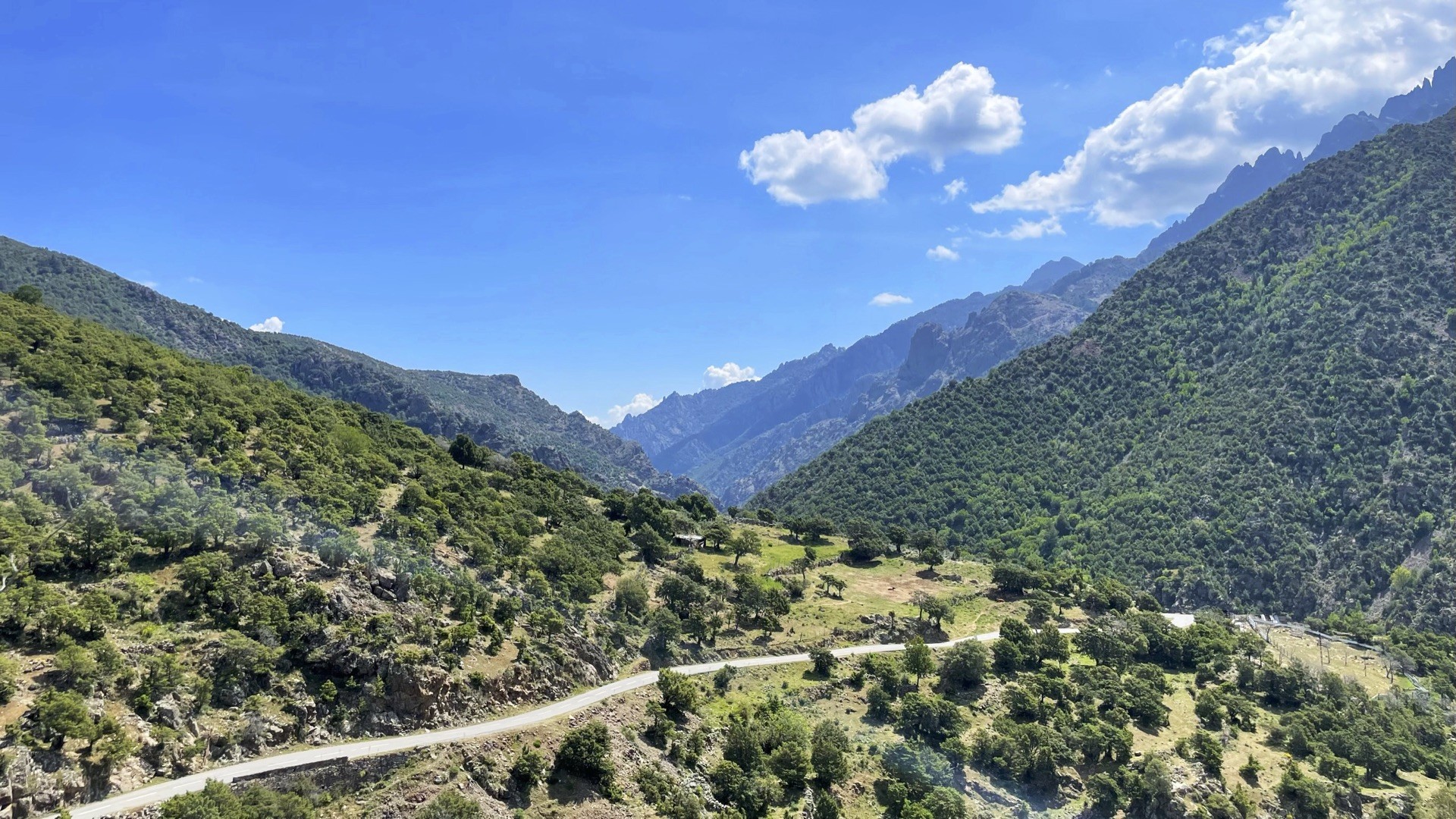 Vivez la Corse-photo