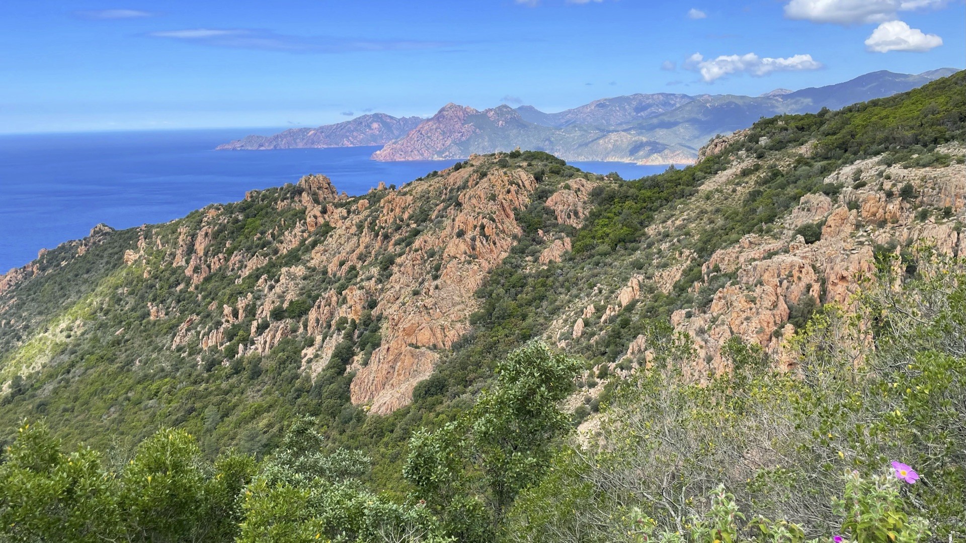 Vivez la Corse-photo