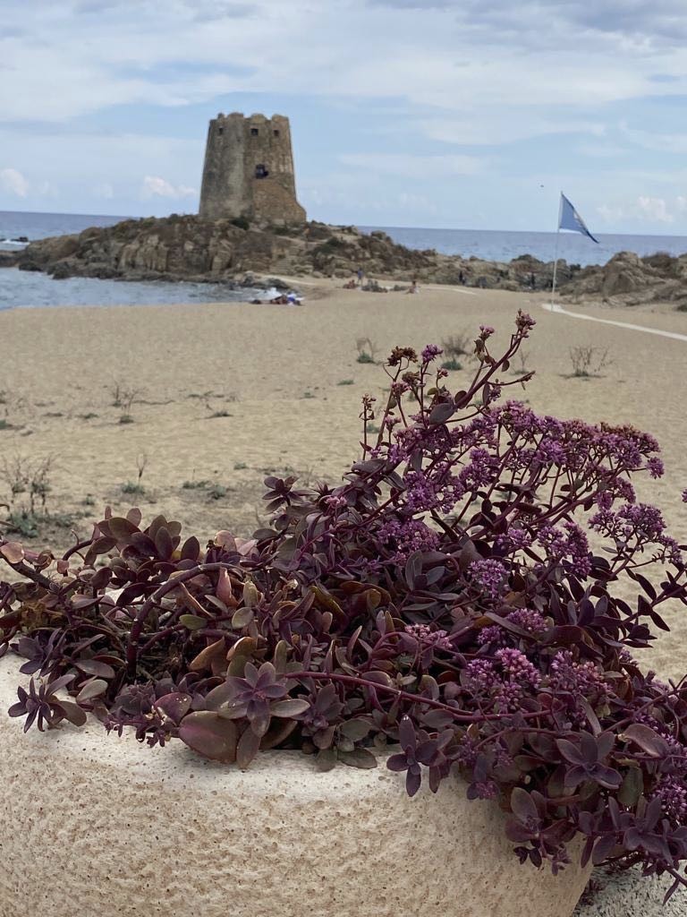 Vivez la Sardaigne-photo